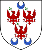 Irish Family Shield for O