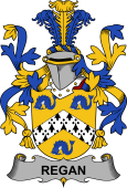 Irish Coat of Arms for Regan or O