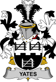 Irish Coat of Arms for Yeates