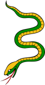 Serpent Torqued 2