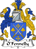 Irish Coat of Arms for O