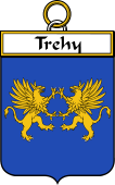 Irish Badge for Trehy or O