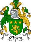 Irish Coat of Arms for O