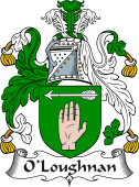 Irish Coat of Arms for O