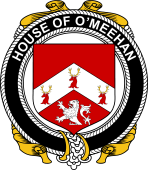 Irish Coat of Arms Badge for the O