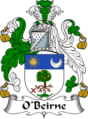 Irish Coat of Arms for O