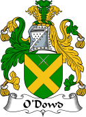 Irish Coat of Arms for O