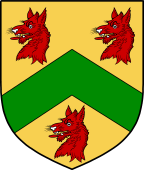 Irish Family Shield for O