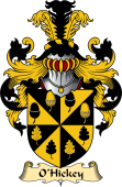 Irish Family Coat of Arms (v.23) for O