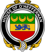 Irish Coat of Arms Badge for the O