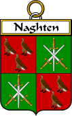 Irish Badge for Naghten or O