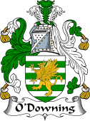 Irish Coat of Arms for O