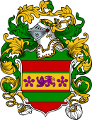 English or Welsh Coat of Arms for Magnus (Yorkshire)