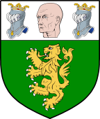 Irish Family Shield for O