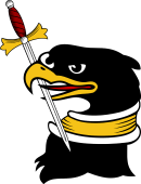 Eagle Hd Erased Collared Holding Sword