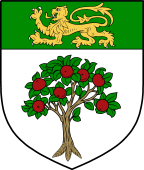 Irish Family Shield for O