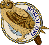 Birds of Prey Clipart image: Tengmalm