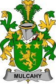 Irish Coat of Arms for Mulcahy or O