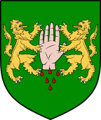 Irish Family Shield for O