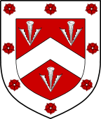 Irish Family Shield for O