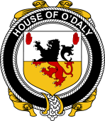 Irish Coat of Arms Badge for the O