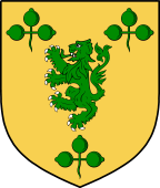 Irish Family Shield for O