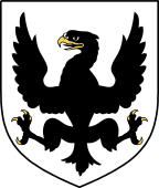 Irish Family Shield for O