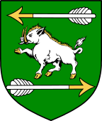 Irish Family Shield for O