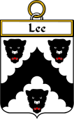 Irish Badge for Lee or O