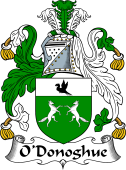 Irish Coat of Arms for O