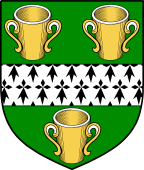 Irish Family Shield for O