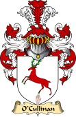 Irish Family Coat of Arms (v.23) for O