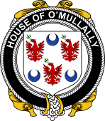 Irish Coat of Arms Badge for the O