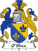 Irish Coat of Arms for O