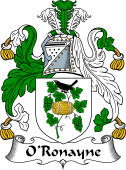 Irish Coat of Arms for O