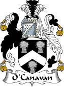 Irish Coat of Arms for O