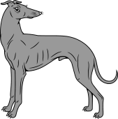 Greyhound Statant Reguardant