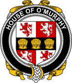 Irish Coat of Arms Badge for the O