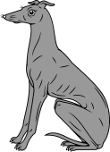 Greyhound Sejant