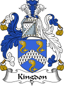 Irish Coat of Arms for Kingdon