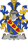 Irish Coat of Arms for Hunt