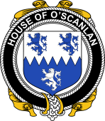 Irish Coat of Arms Badge for the O