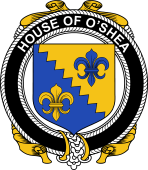 Irish Coat of Arms Badge for the O