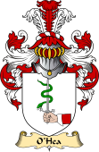 Irish Family Coat of Arms (v.23) for O