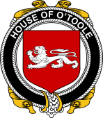 Irish Coat of Arms Badge for the O