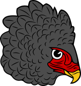 Birds of Prey Clipart image: Bateleur Eagle Head