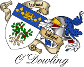 Sept (Clan) Coat of Arms from Ireland for O