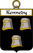 Irish Badge for Kennedy or O