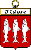 Irish Badge for Cahane or O