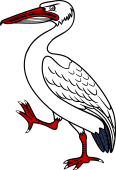 Pelican